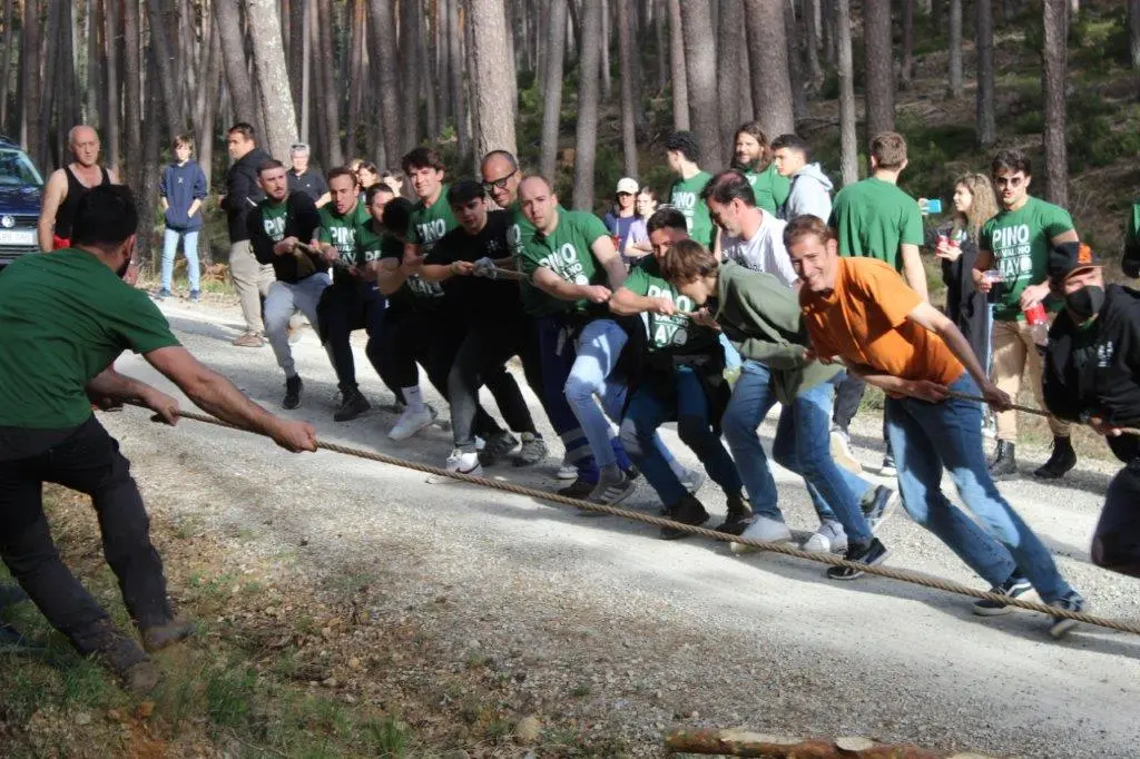 PINGADA NAVALENO (15)