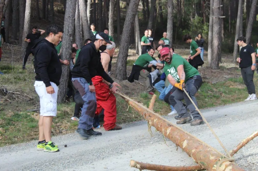 PINGADA NAVALENO (13)