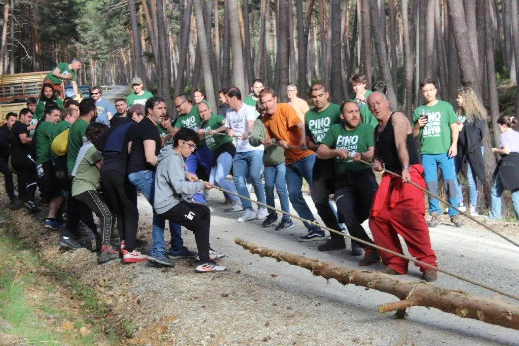 PINGADA NAVALENO (17)