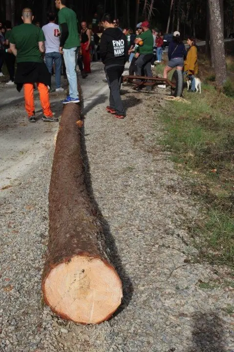 PINGADA NAVALENO (19)