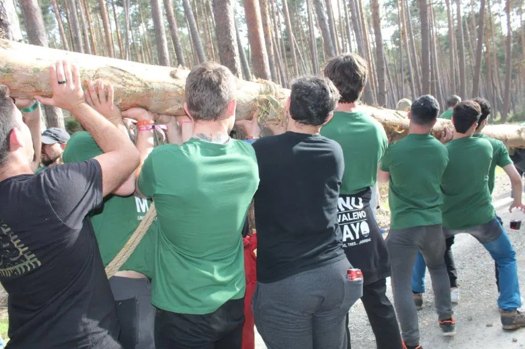 PINGADA NAVALENO (20)