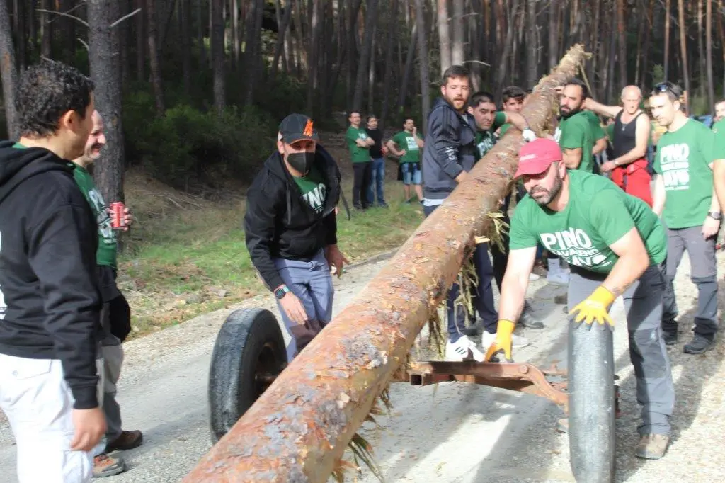 PINGADA NAVALENO (21)