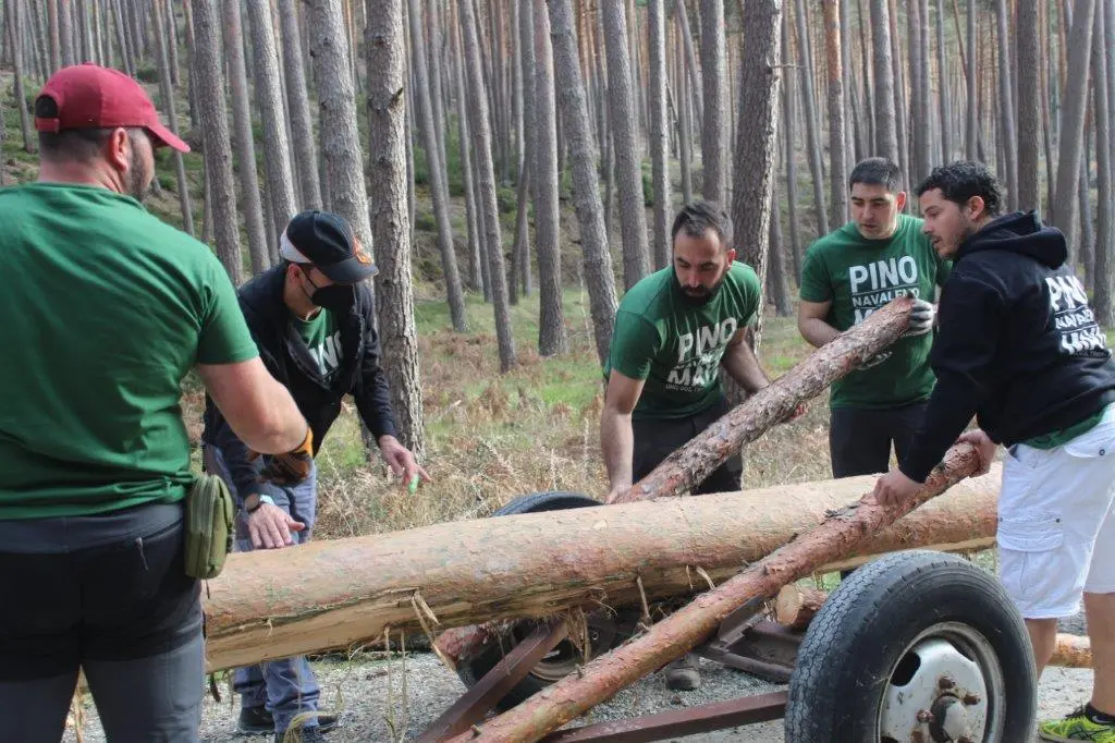 PINGADA NAVALENO (24)