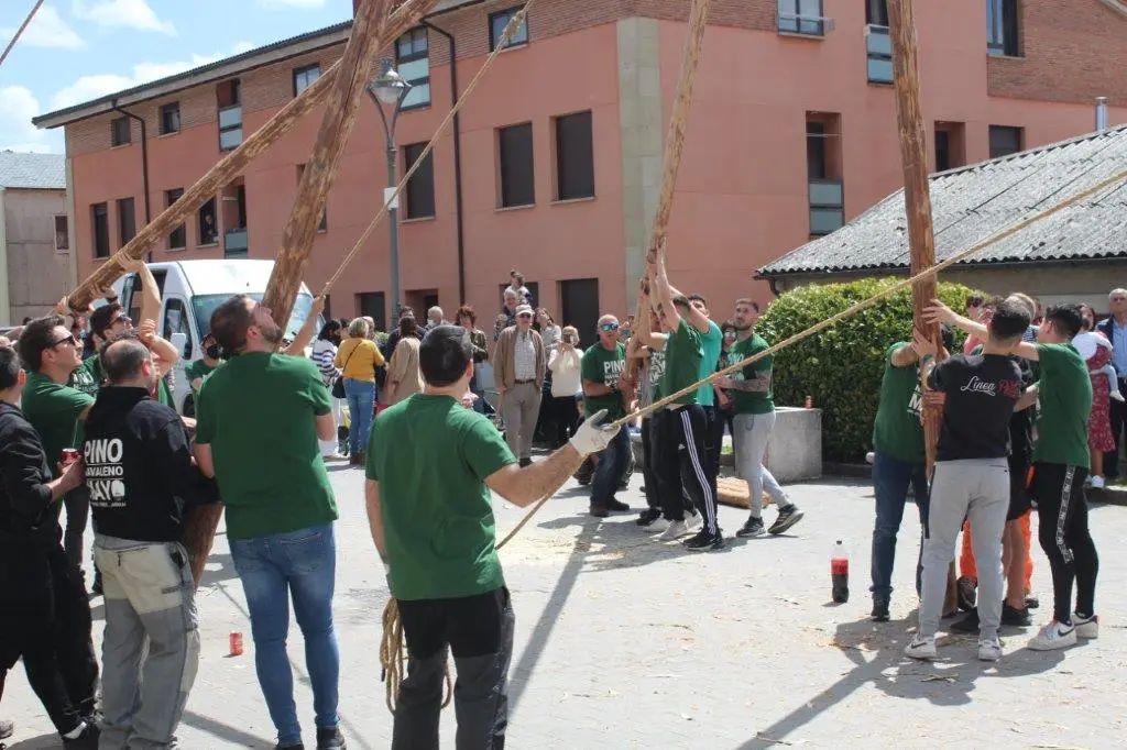 PINGADA NAVALENO (27)