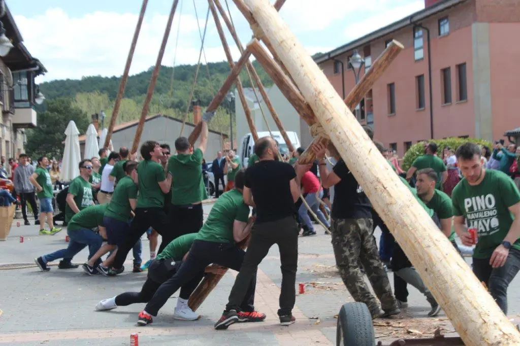 PINGADA NAVALENO (26)