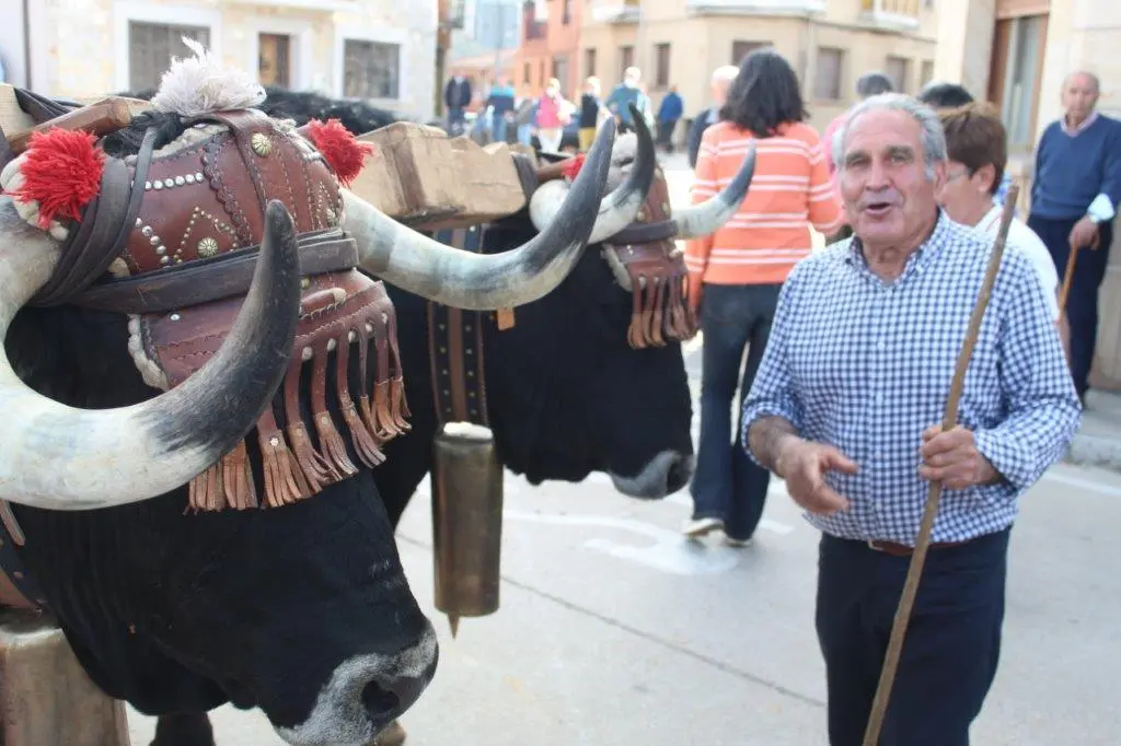 PINGADA EN HONTORIA (15)