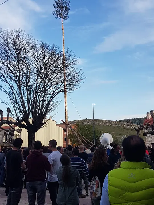 PINGADA HONTORIA Ok (1)