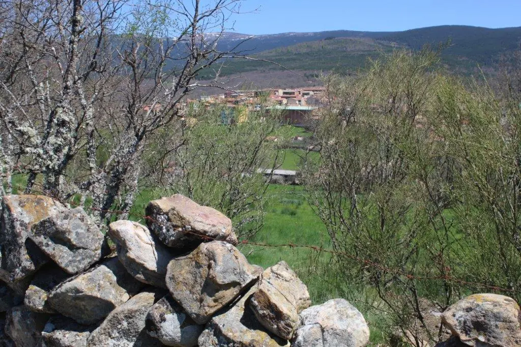 PINGADA COVALEDA 2022 (42)