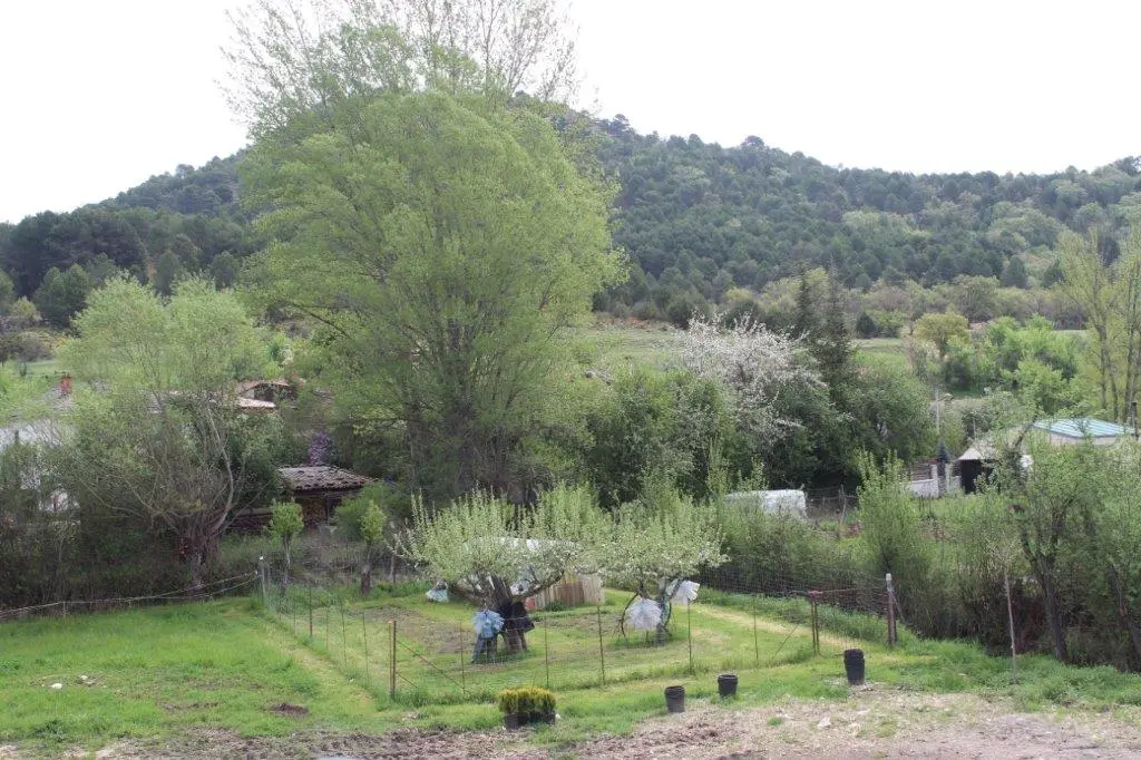 INAUGURACIÓN CIELO DE MURIEL (25)