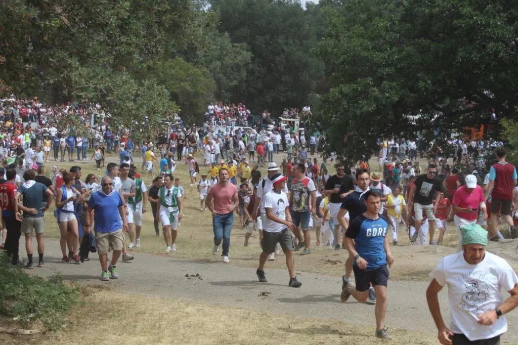 LA SACA 2022 (15)