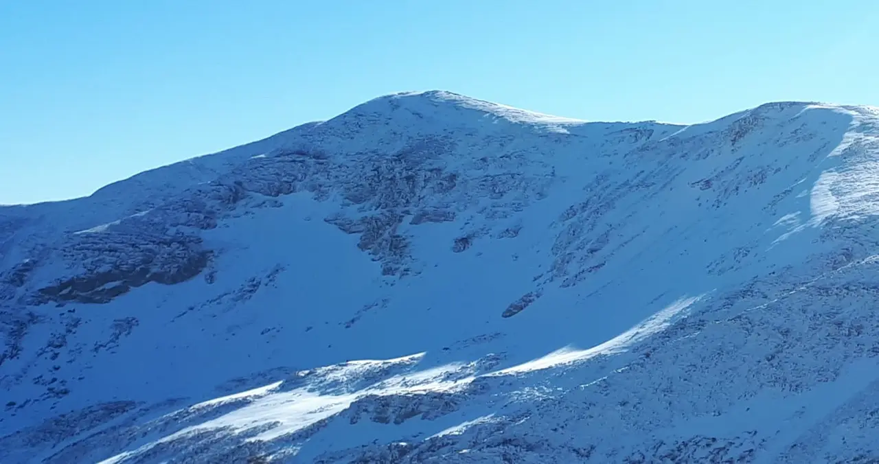 WhatsApp Image 2022-07-05 at 3.28.02 PM (1)