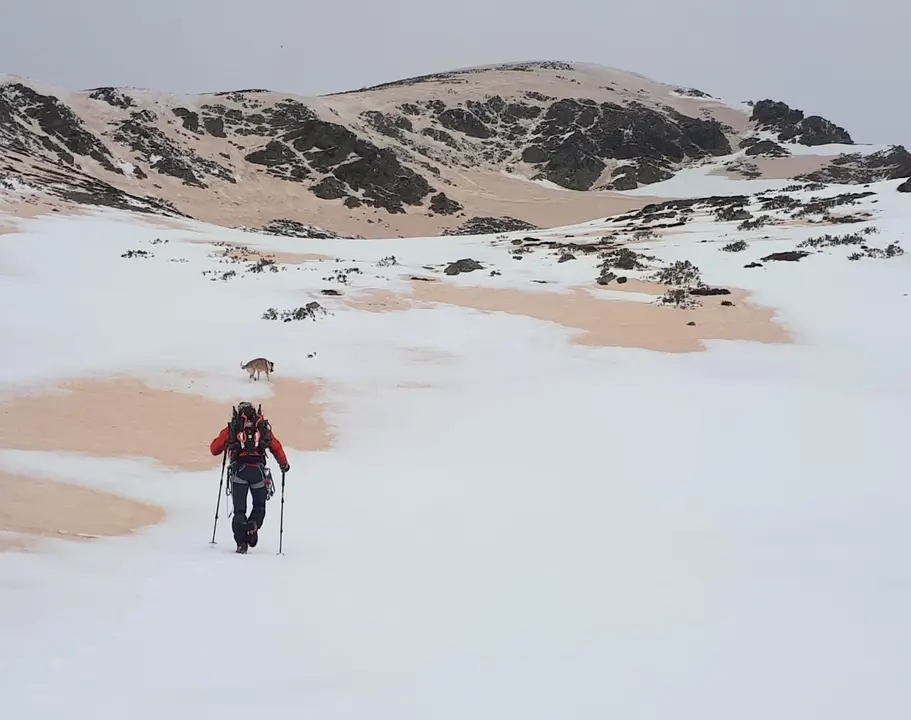 WhatsApp Image 2022-07-05 at 3.28.02 PM