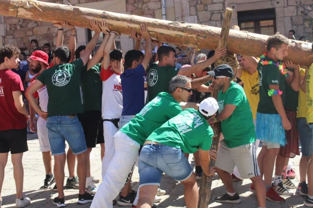 FIESTAS VINUESA (10)