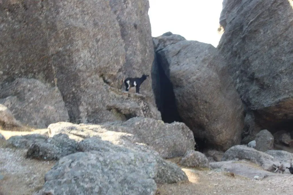 MIRADOR CASTROVIEJO (24)