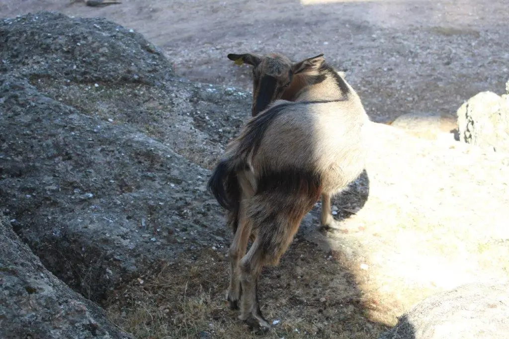 MIRADOR CASTROVIEJO (25)