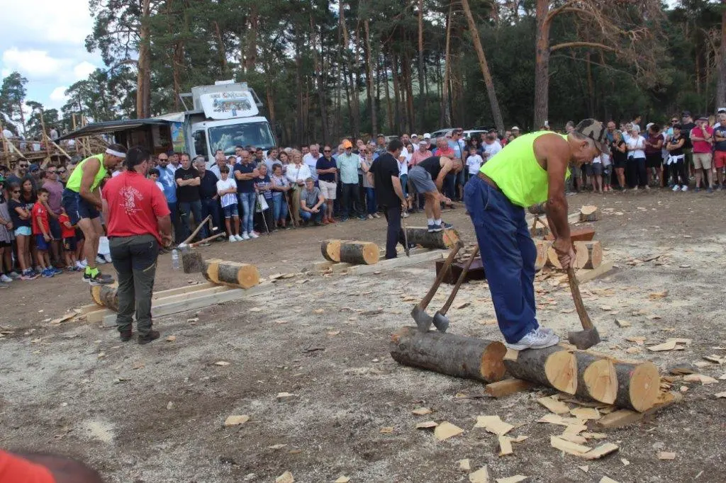 FERIA GANADERA VINUESA (2)