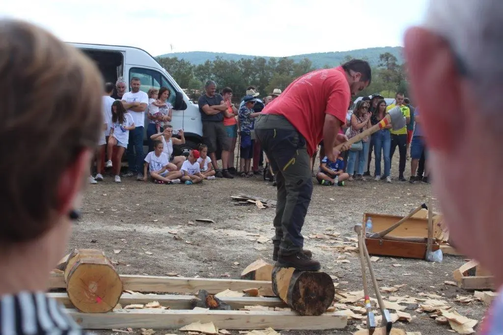 FERIA GANADERA VINUESA (8)