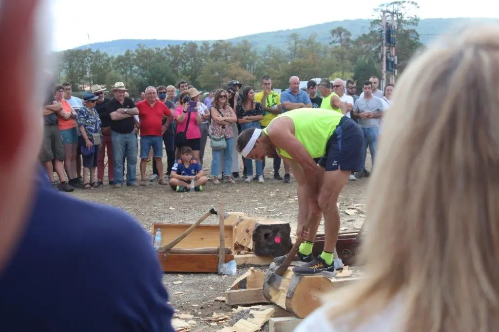 FERIA GANADERA VINUESA (9)