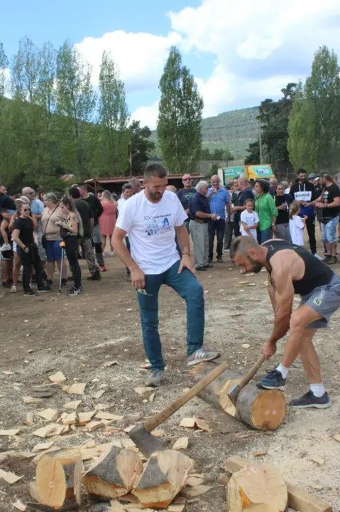 FERIA GANADERA VINUESA (12)