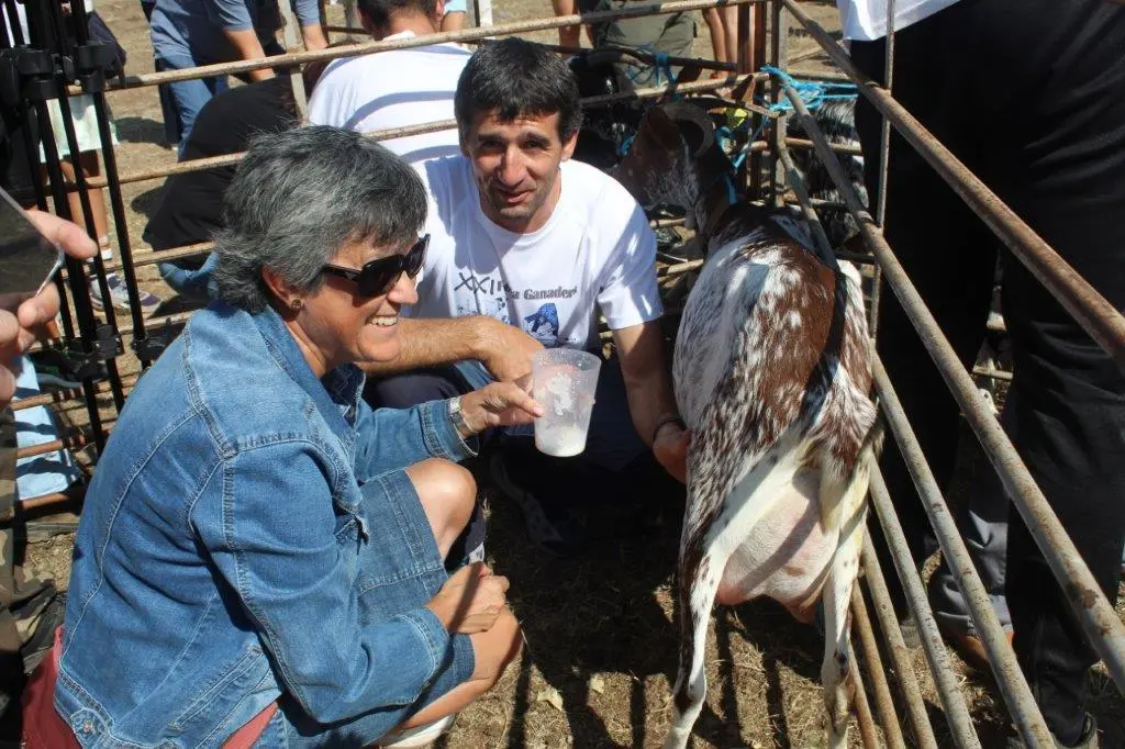 FERIA GANADERA VINUESA (16)