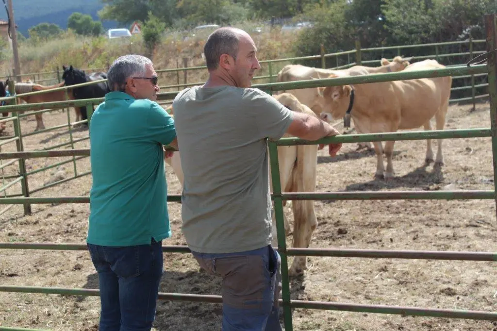 FERIA GANADERA VINUESA (22)