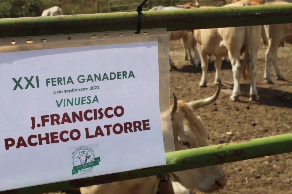 FERIA GANADERA VINUESA (29)