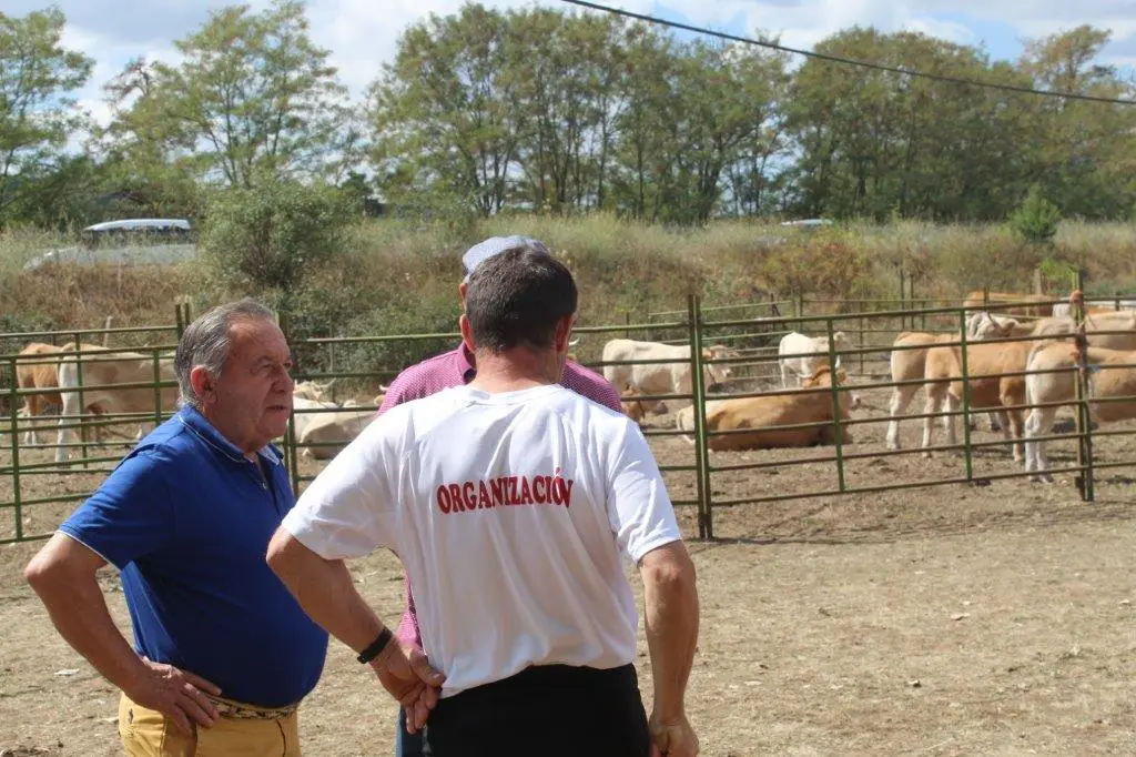 FERIA GANADERA VINUESA (34)