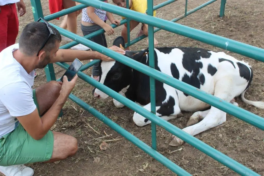 FERIA GANADERA VINUESA (42)