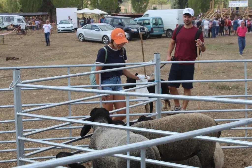 FERIA GANADERA VINUESA (46)
