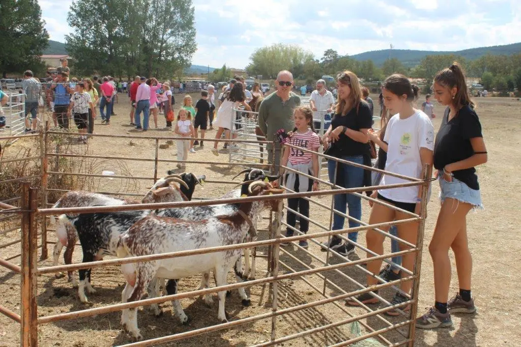 FERIA GANADERA VINUESA (48)