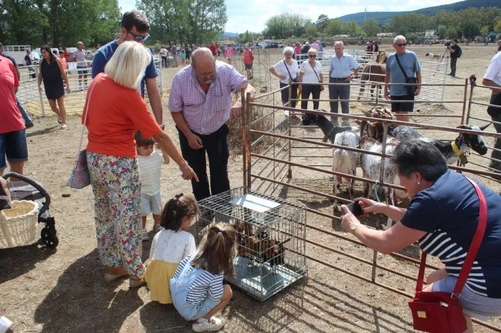 FERIA GANADERA VINUESA (49)