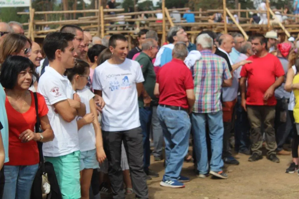 FERIA GANADERA VINUESA (50)