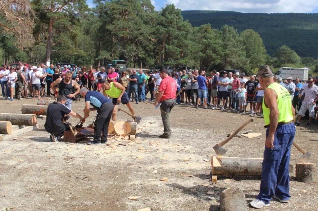 FERIA GANADERA VINUESA (52)