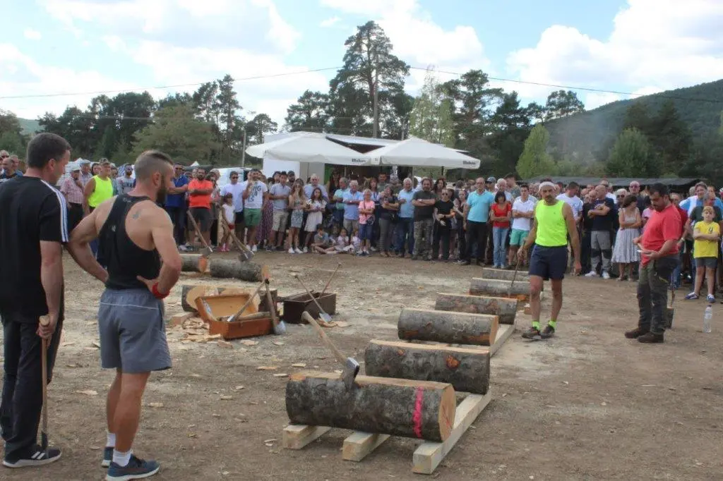 FERIA GANADERA VINUESA (64)