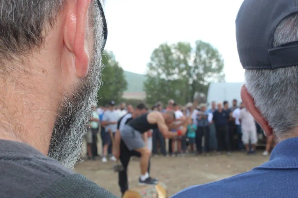 FERIA GANADERA VINUESA (68)