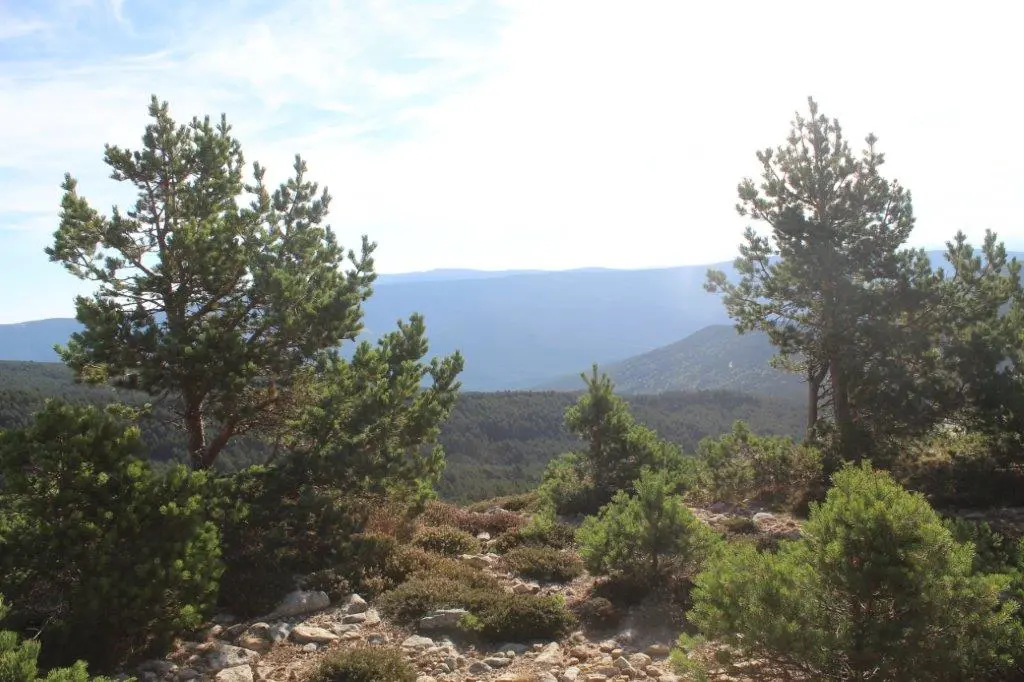 DESAFÍO URBIÓN 2022 (36)