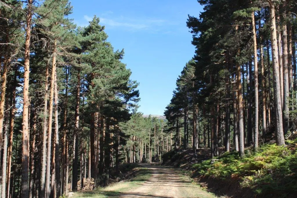 DESAFÍO URBIÓN 2022 (78)