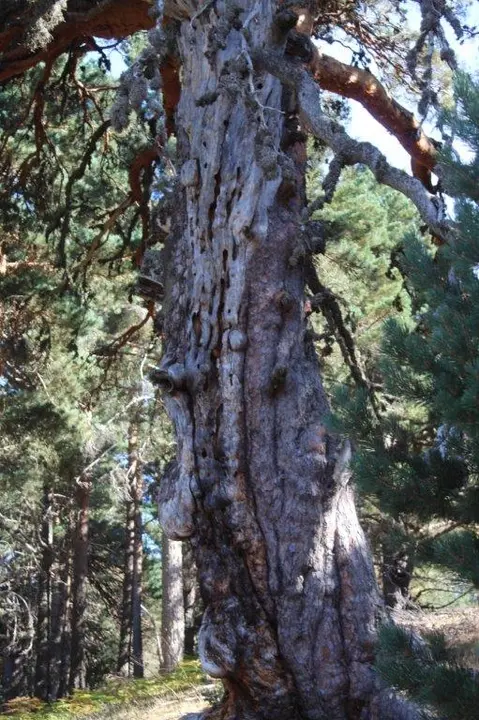 DESAFÍO URBIÓN 2022 (79)