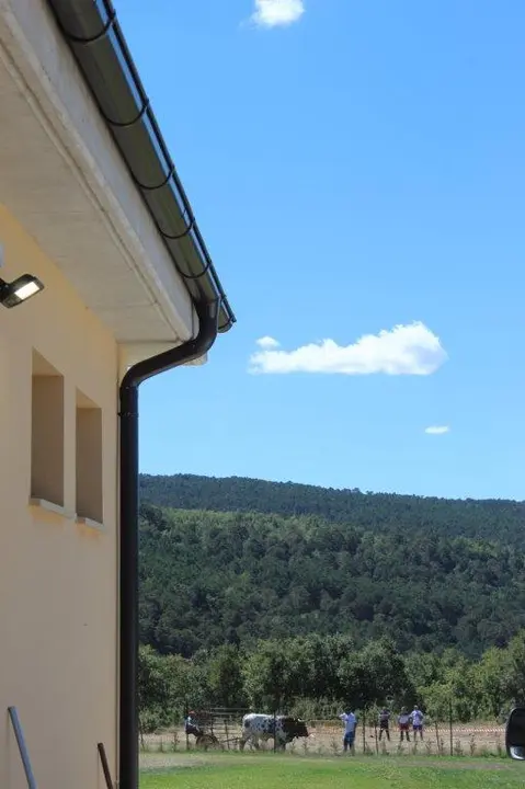 FERIA GANADERA COVALEDA (9)