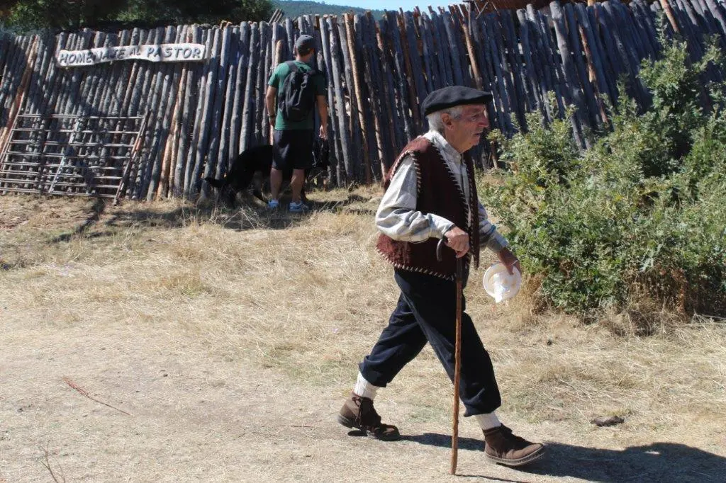 FERIA GANADERA COVALEDA (10)