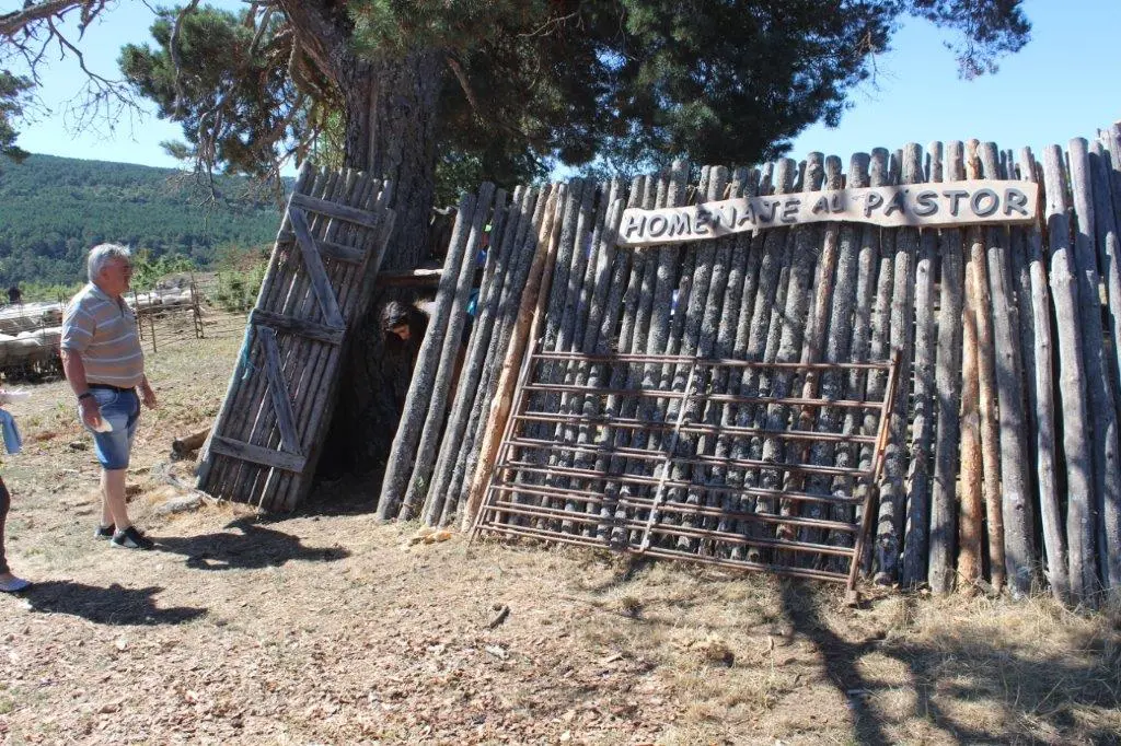FERIA GANADERA COVALEDA (11)