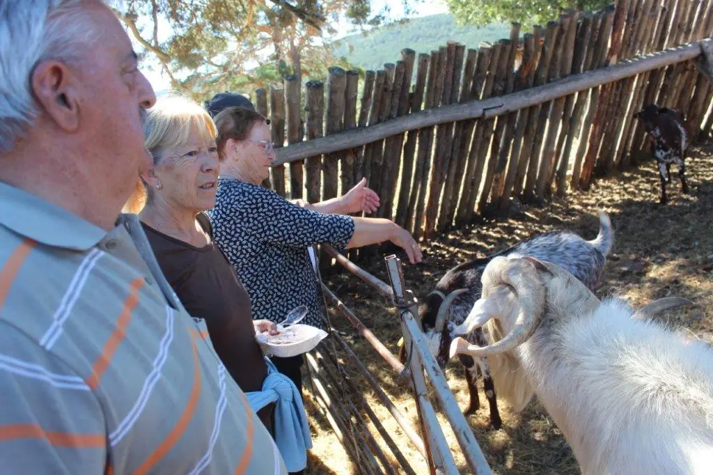 FERIA GANADERA COVALEDA (14)