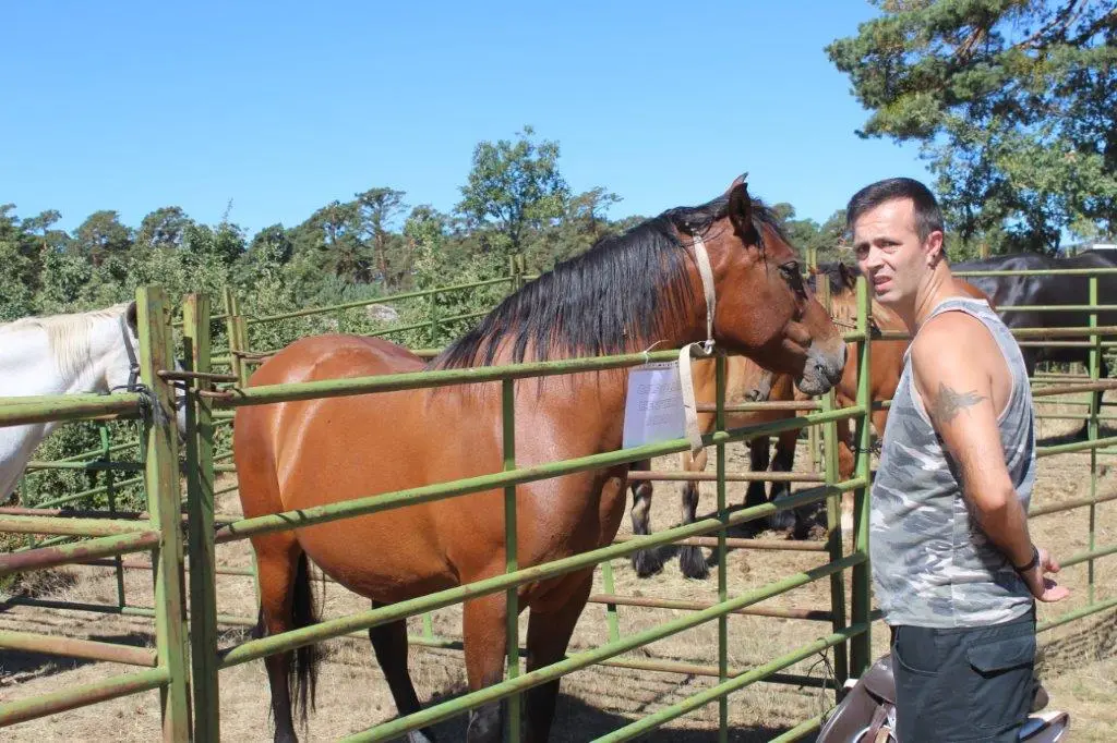 FERIA GANADERA COVALEDA (23)