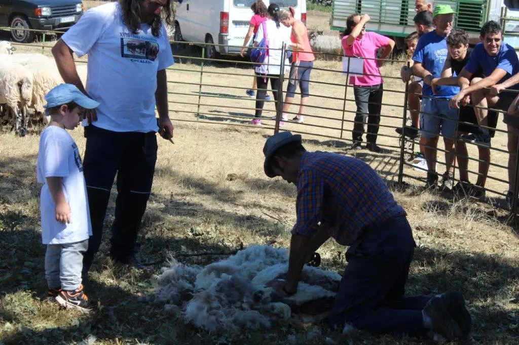 FERIA GANADERA COVALEDA (37)