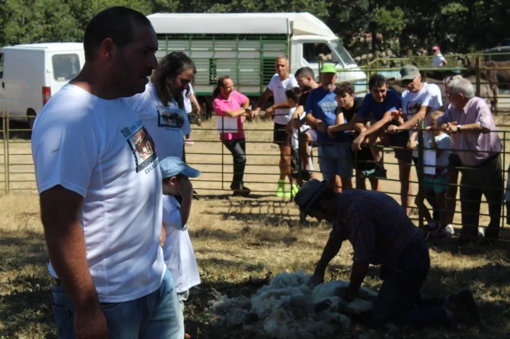 FERIA GANADERA COVALEDA (38)