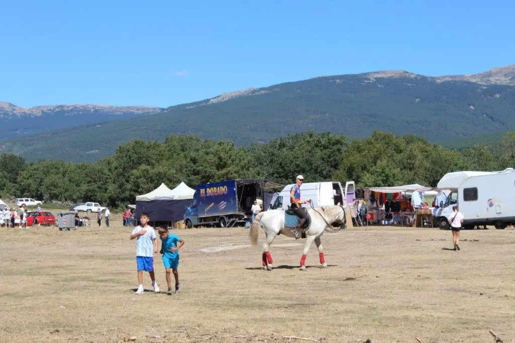 FERIA GANADERA COVALEDA (40)