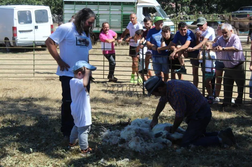 FERIA GANADERA COVALEDA (39)