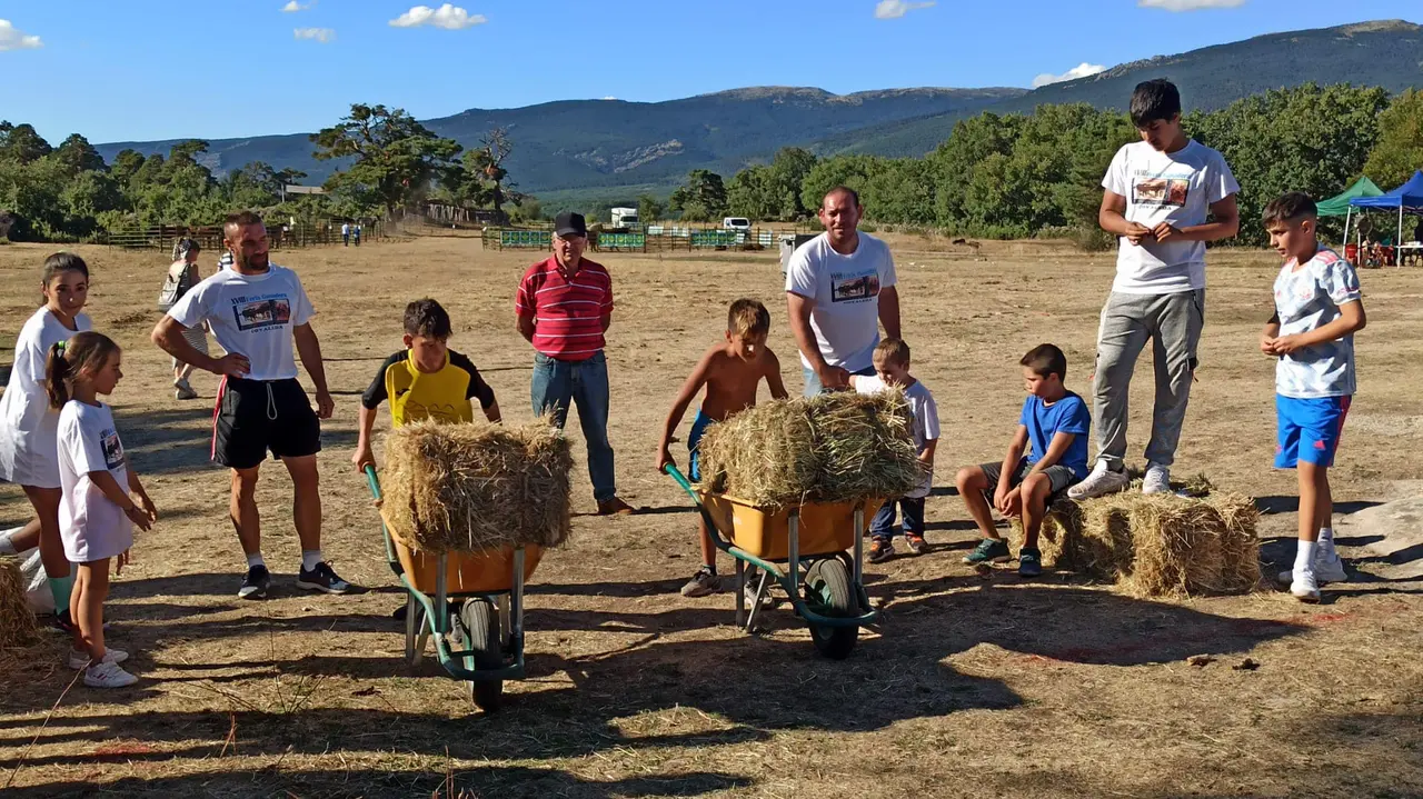 COVALEDA CARRETILLAS 2