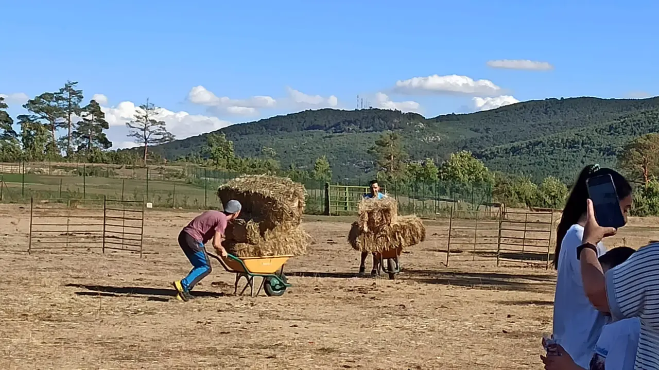COVALEDA CARRETILLAS