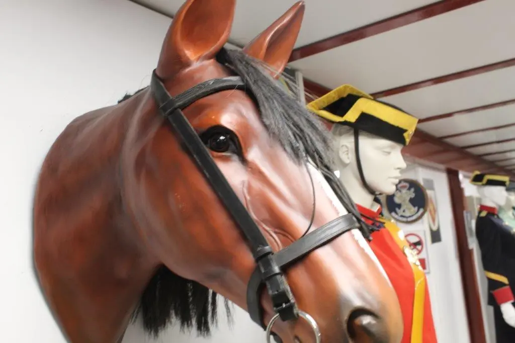 MARÍA GÁMEZ EN NAVALENO (78)